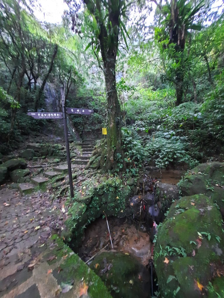 2022/11/12 平溪孝子山，慈母峰，普陀山_2001034