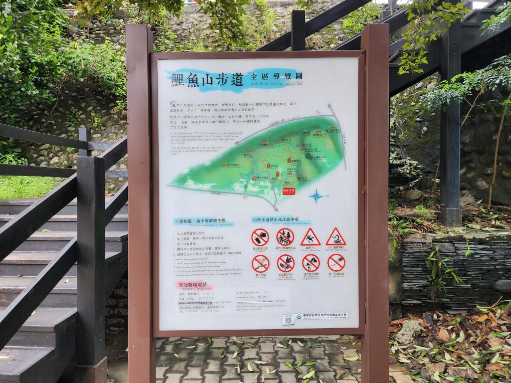 台東｜鯉魚山_2638595