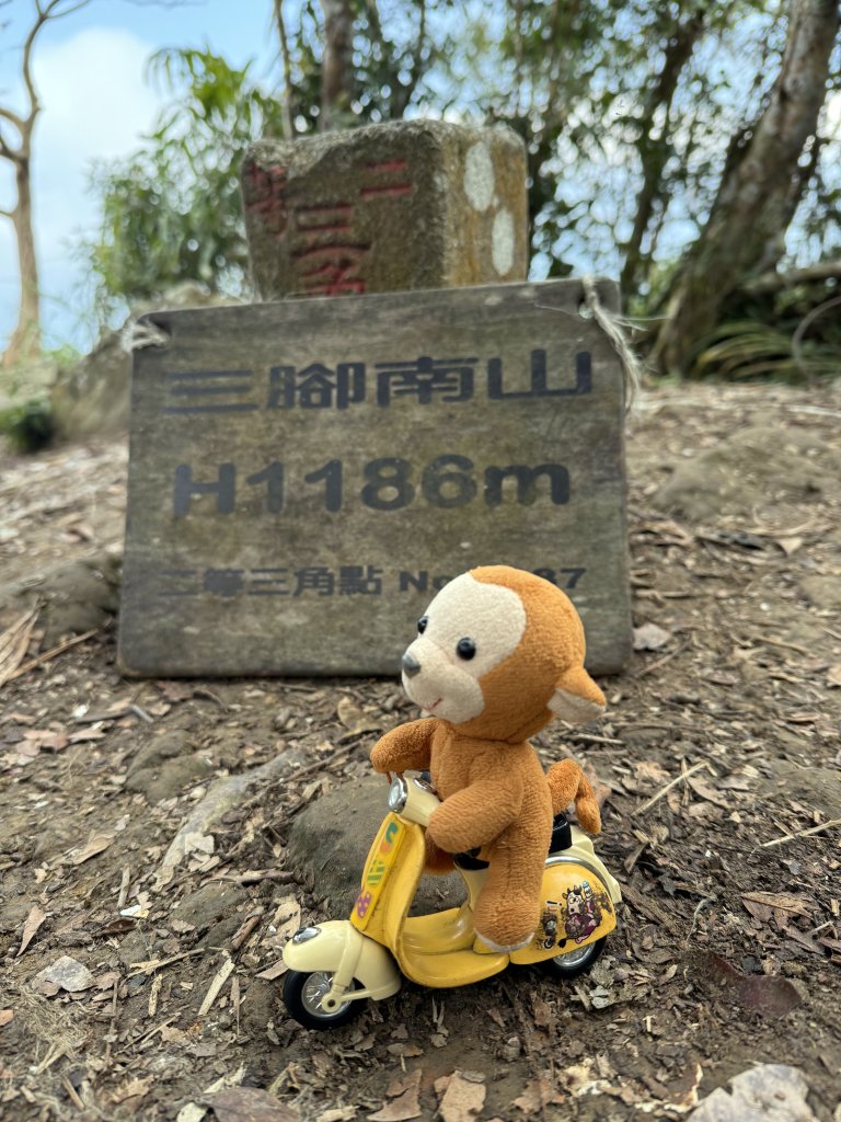 三腳南山+紅毛埤山 20241229_2680790