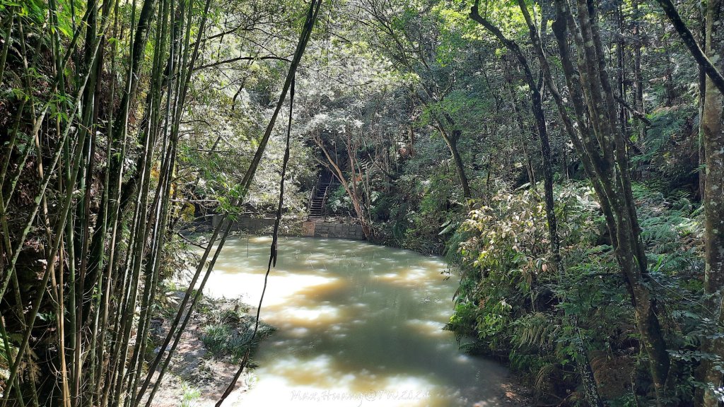 《南投》侏儸紀公園｜魚池澀水森林步道O繞20240629_2538425