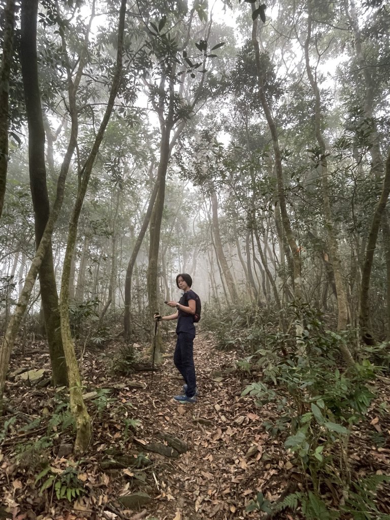 小百岳｜高雄茂林鳴海山封面圖