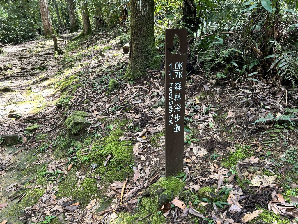 內洞國家森林遊樂區_2806880