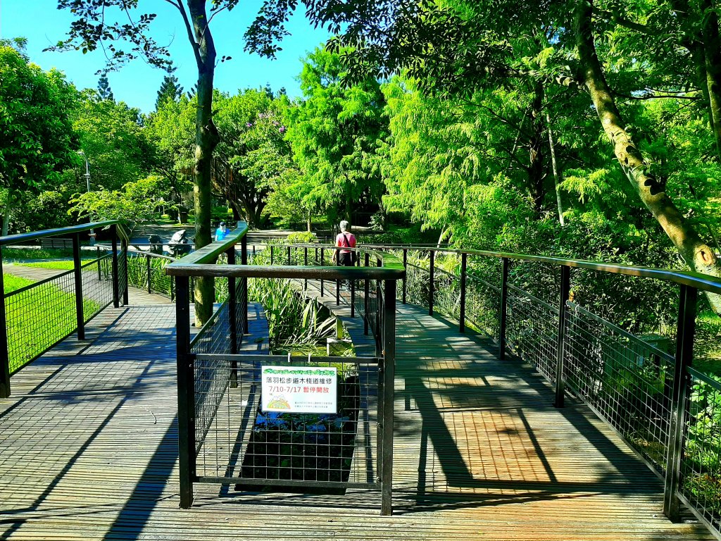 臺北趴趴走｜文山森林、台大、林森、淡水、大安森林、象山_2238311
