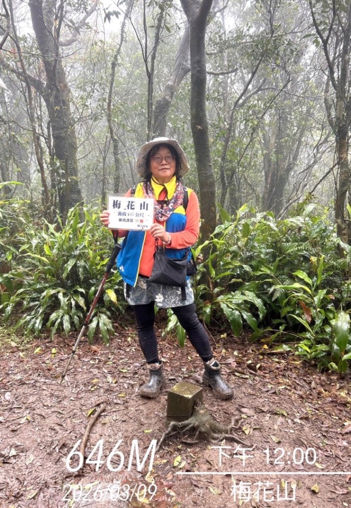 台北縱走第四段訪雙溪山 梅花山與西峰南峰西南峰 碧山_3012833