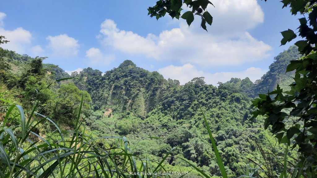 《南投》峰峰相連｜草屯九九峰森林步道O型20250906封面圖