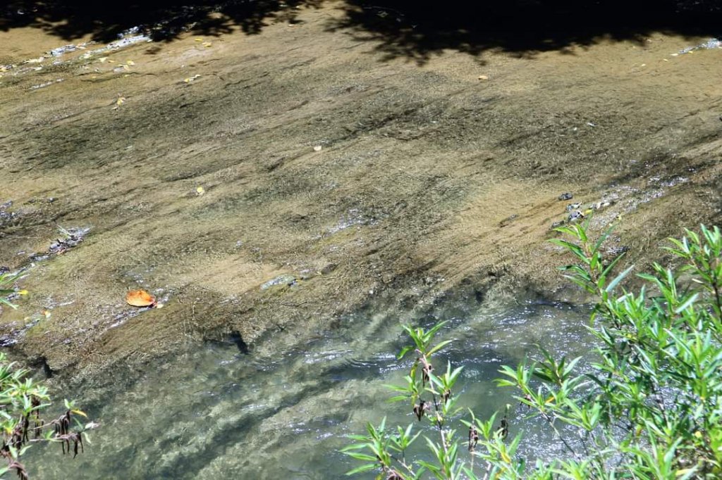 〔石碇〕烏塗溪古道 外按古道。昔日淡蘭古道南路之一段_2235889