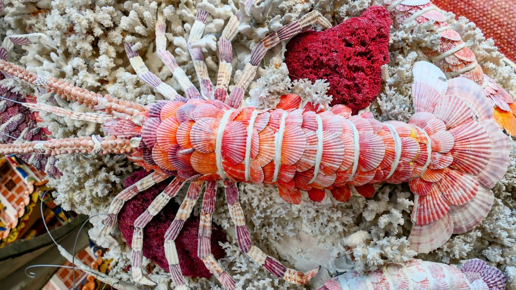 北海岸。良率_2783464