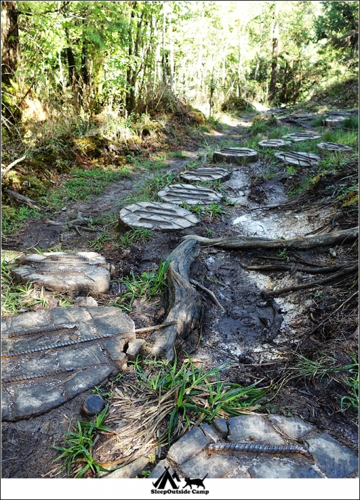 宜蘭太平山翠峰湖環山步道_259538