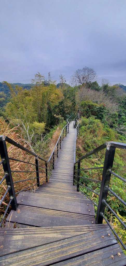 2023-02-25龍過脈森林步道_2042284