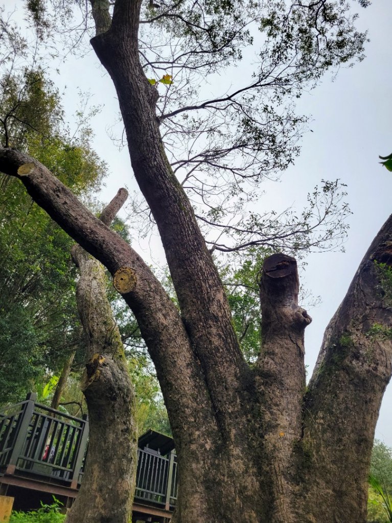 112.02.09 苗栗-獅頭山_2025685