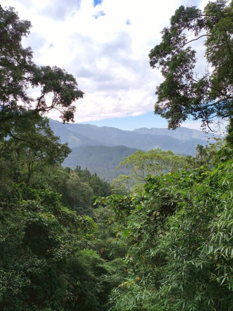 20251218溪頭鳳凰山台寅山上天文台至妖怪村買菜O繞_2965601