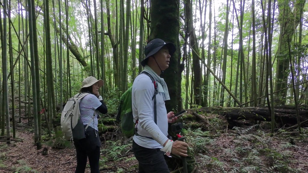 阿里山頂湖三連峰:天福山、芙蓉山、凸龜山_2810095