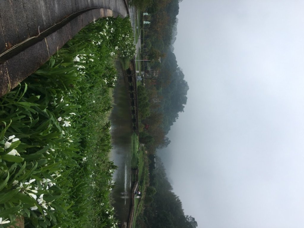 頭寮山o(慈湖、秘密花園咖啡☕️_2649050