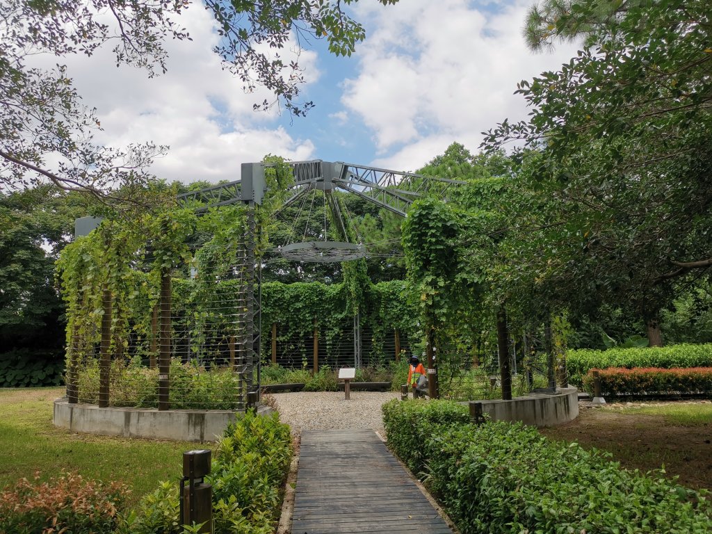 暑之大湳森林公園_2859588