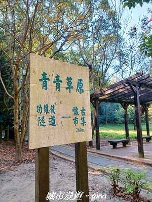 【苗栗】貓貍山公園功維敘隧道_2981673