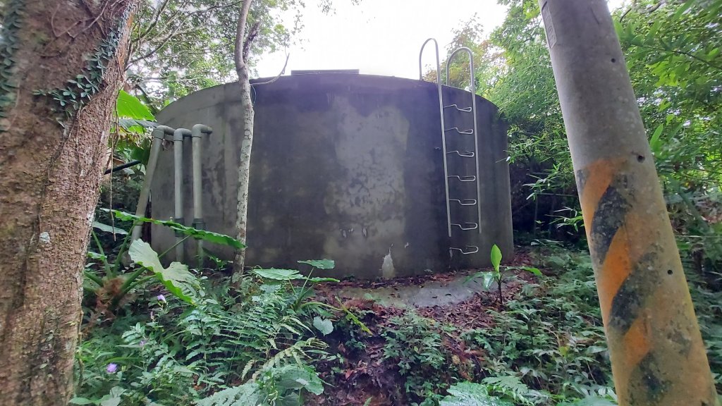 110/11/28苗栗縣南庄鄉三角湖山、向天湖山、光天高山O型_1537888