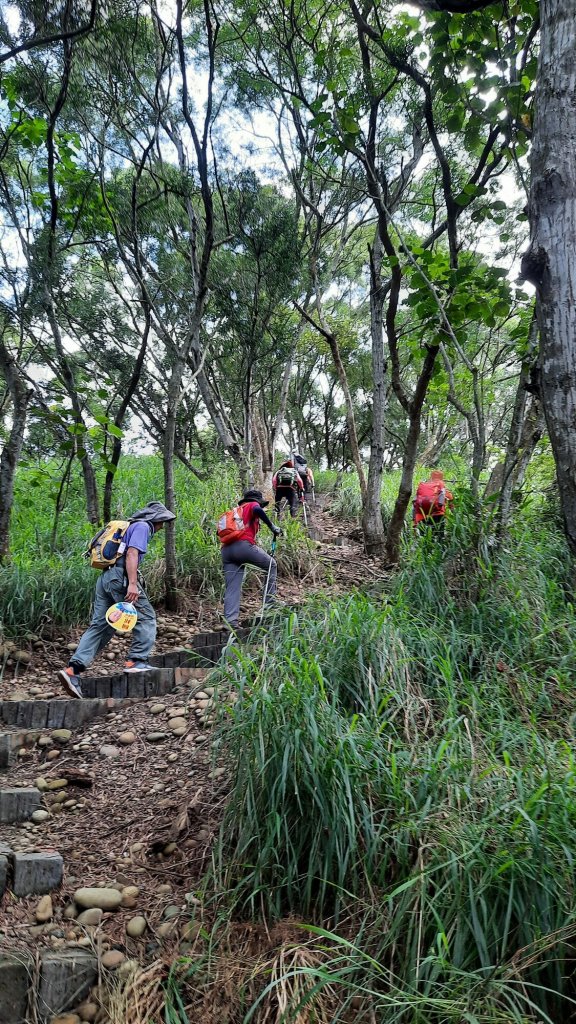 《台中》綠蔭夏蟬｜大肚環保公園登山步道O型20220626_1745167