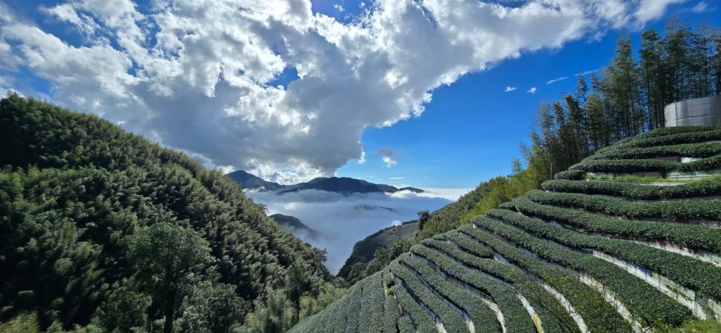 溪頭五連峰O繞（大崙頭／樟空倫／貓冬望／志騰／竹崙）_2652431
