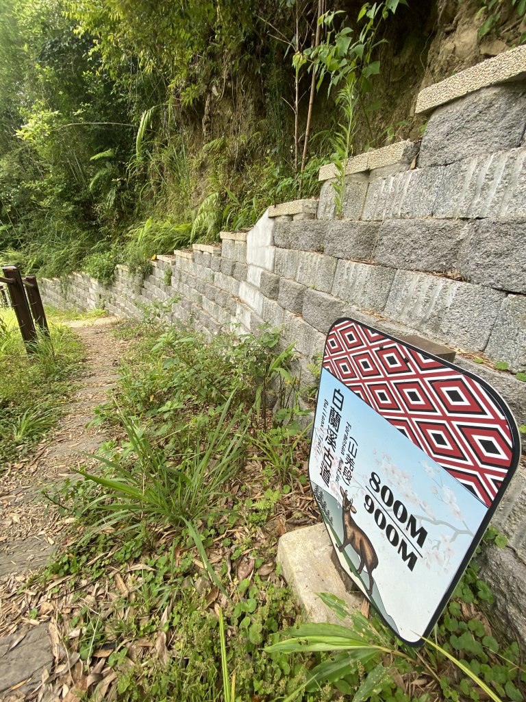 20250705-Ep.02白蘭溪古道-2025森遊竹縣皮皮獅探險隊_2851383