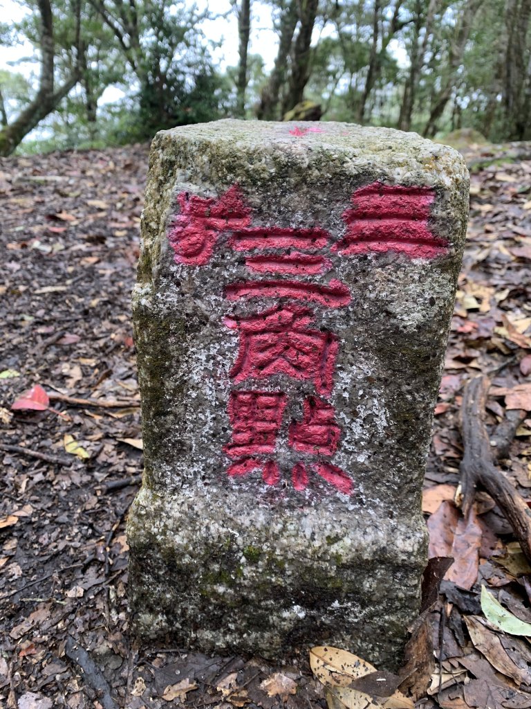 20251220嘉義凸龜山-芙蓉山-天福山_2973777