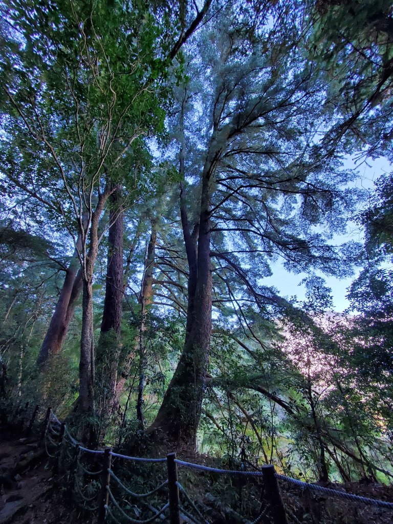 新山馬崙山八壯士登山口封面圖