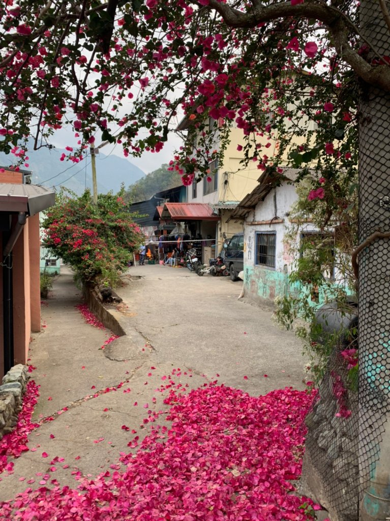 南投｜信義 郡大山兩天一夜_1488030