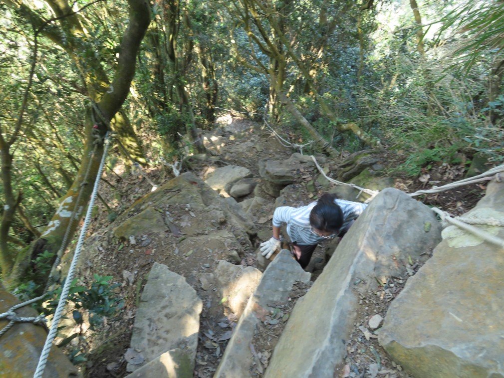 仙山登山步道O形走+小百岳No.33仙山封面圖