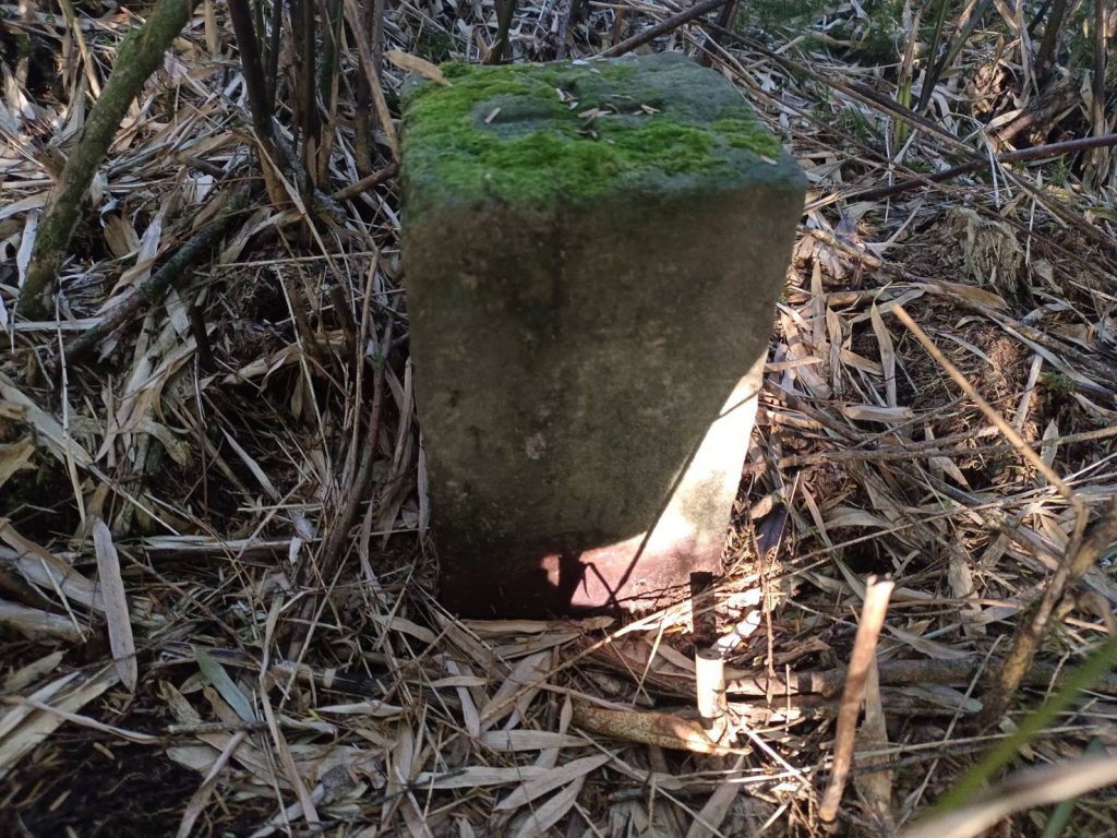 20231118立鷹山、三角峰、三角峰、歌布力赤山、小風口山_2354562