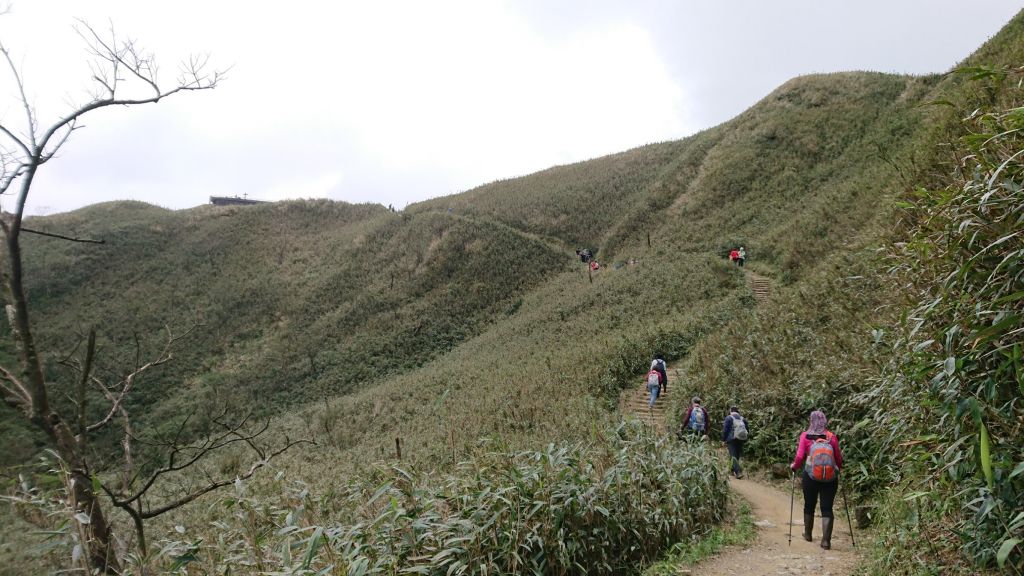 聖母山莊—三角崙山_309972