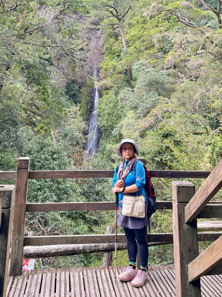 觀霧瀑布 賞鳥步道_2926517