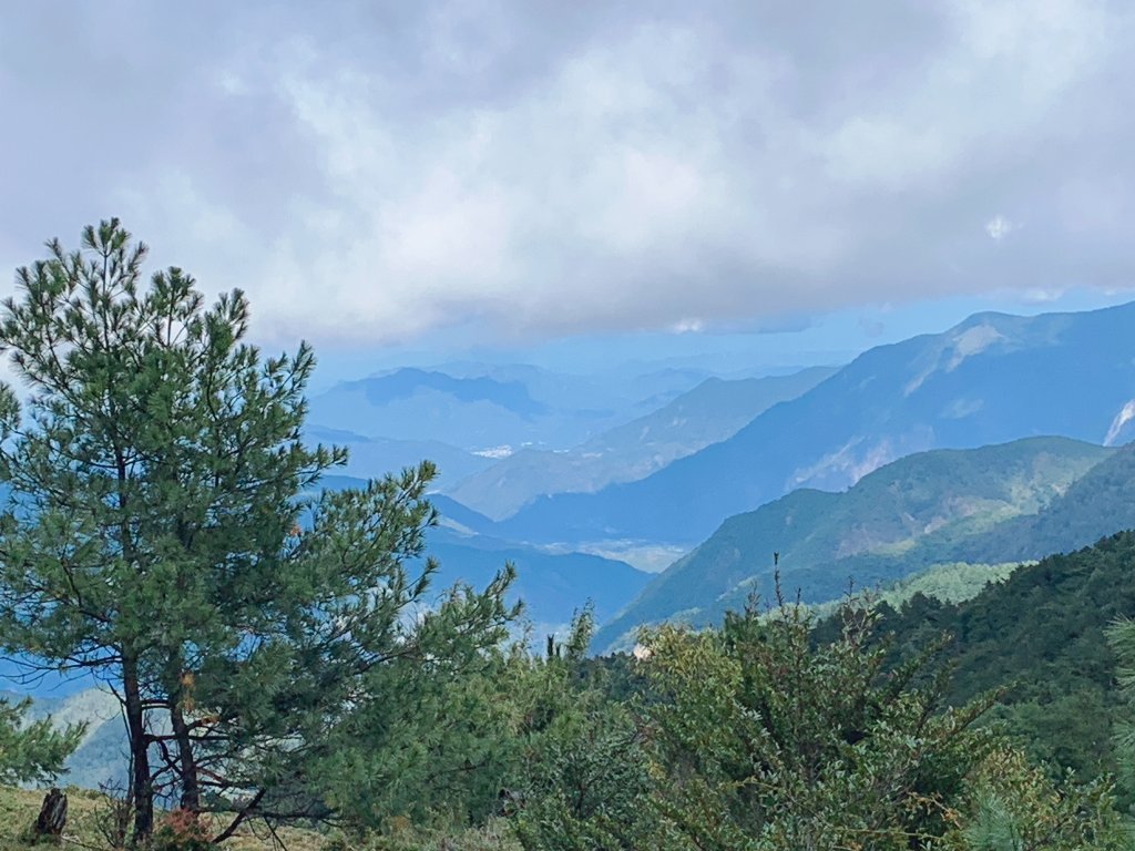 20201鹿林前山，鹿林山，麟趾山環走_1206693