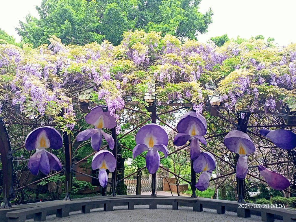 【臺北大縱走 3】擎天崗→石梯嶺→頂山→風櫃嘴_2468715