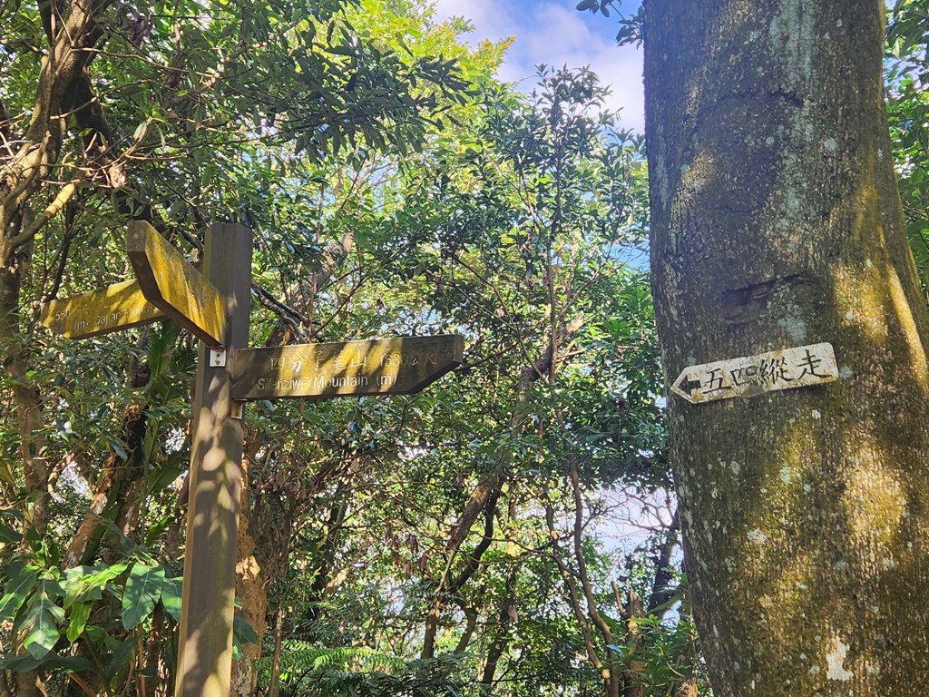 【小百岳】四分尾山連走汐止大尖山_2356382