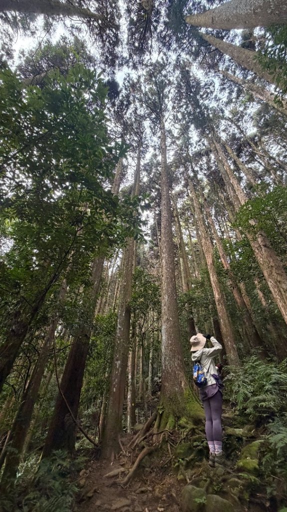 加里山 2025 12/28_2971686