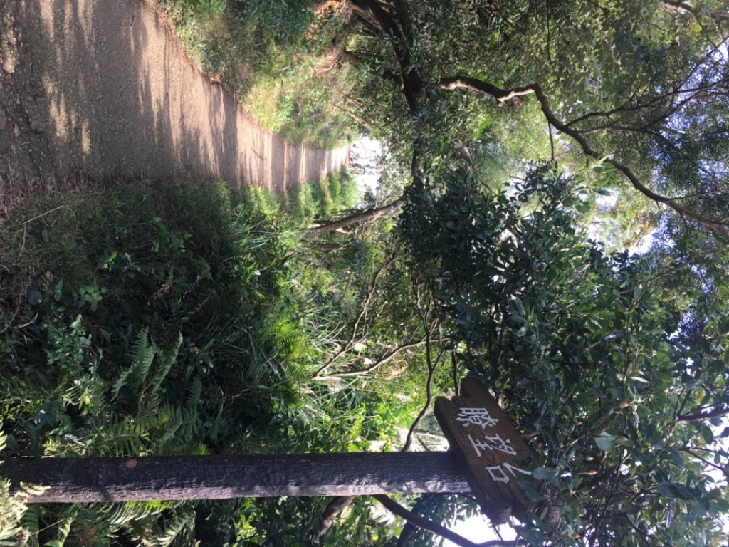 五酒桶山、南崁山_2693322