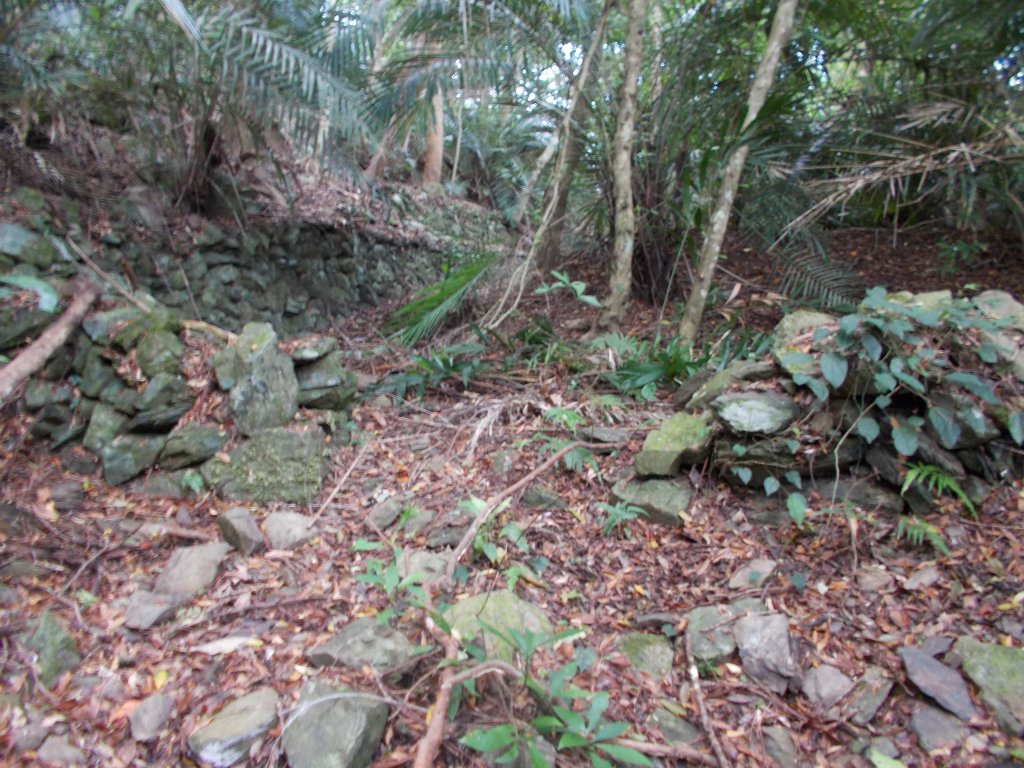 鷹山連走夫婦山西峰_1143795