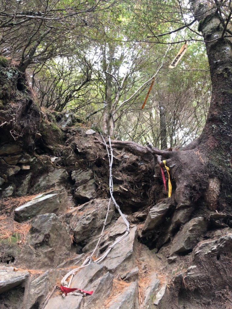 南投 仁愛 臺中 和平 白姑大山封面圖