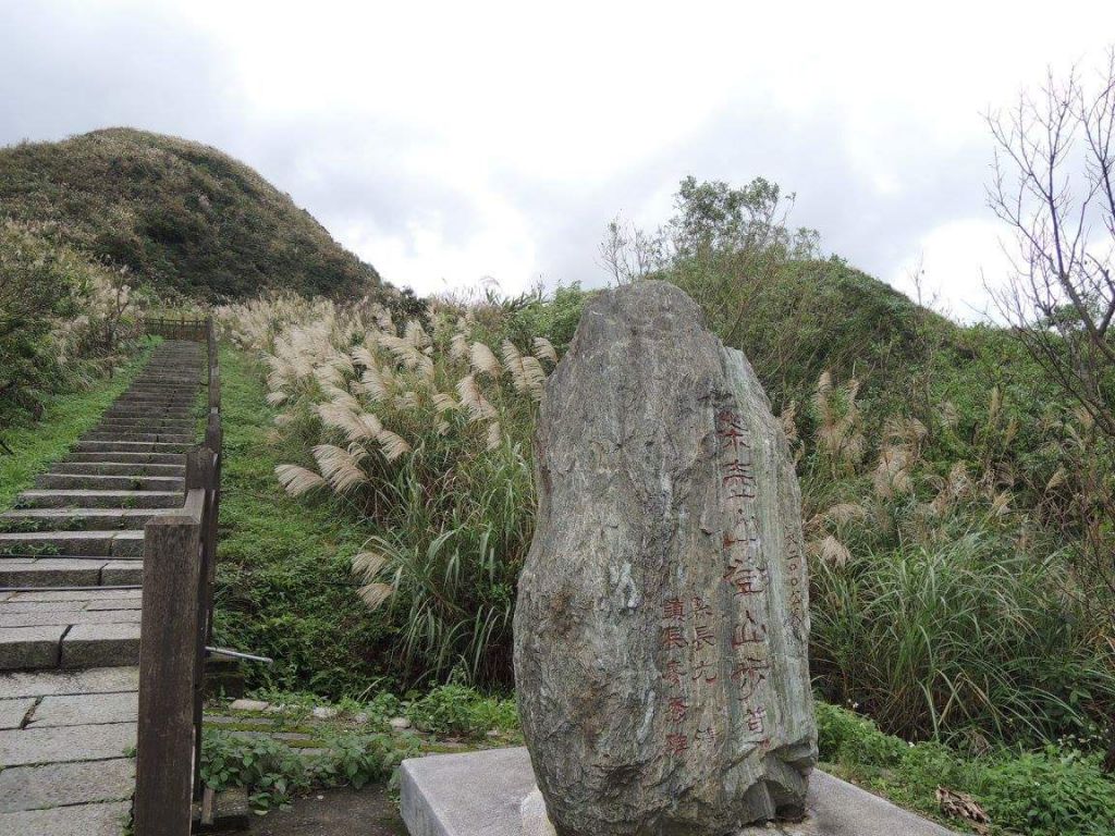 茶壺山封面圖