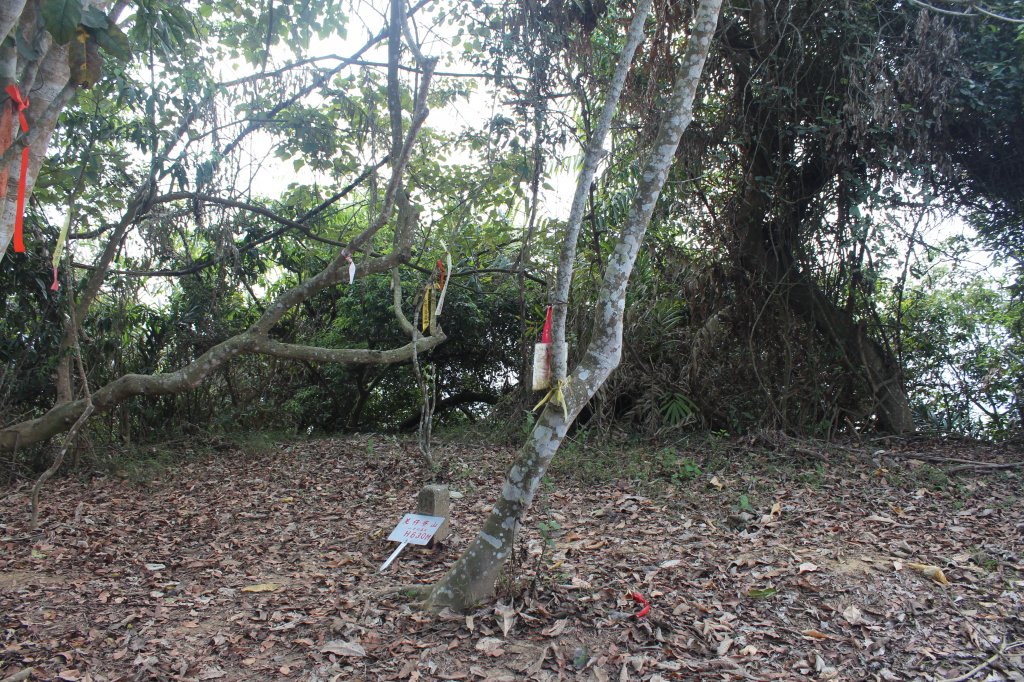 20230429高雄月茶縱走_2138531