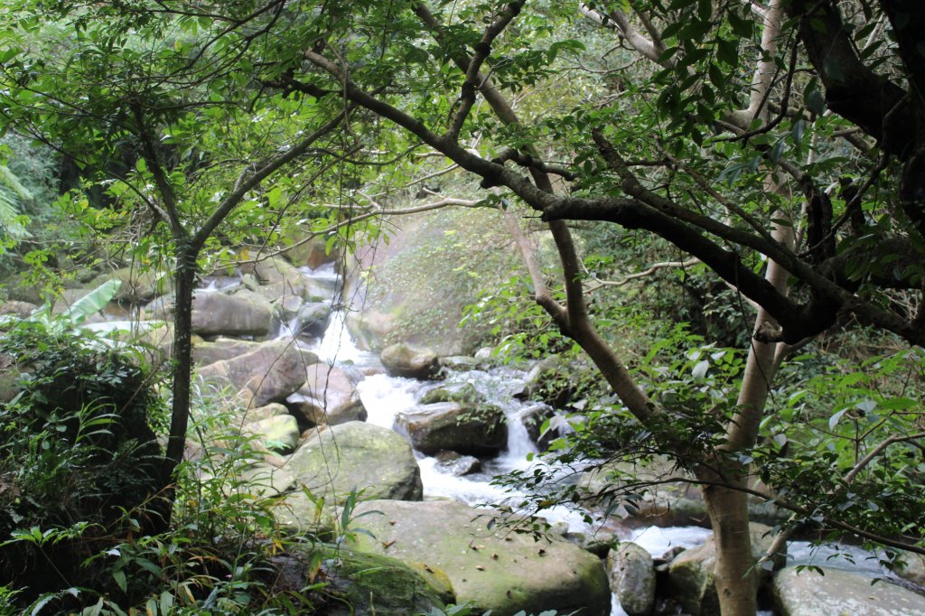 草嶺古道 _754365