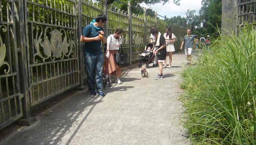 跟著寶寶漫步參山：峨眉湖環湖步道_1106348