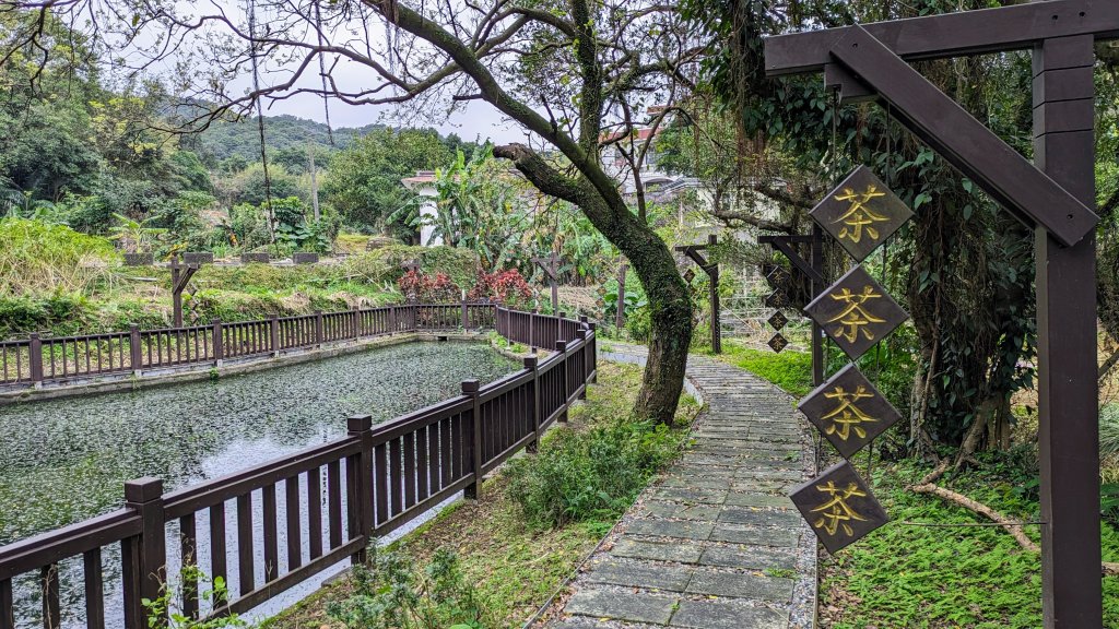 石門茶山步道_2396509