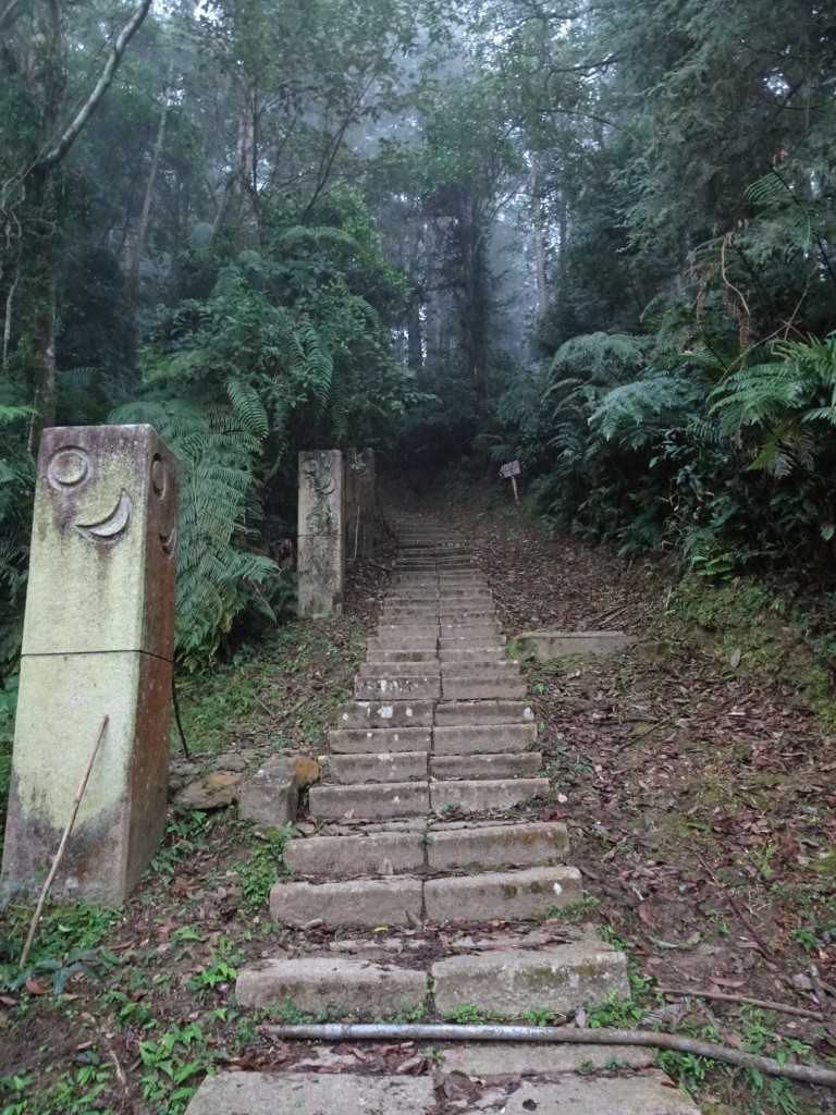 南投魚池-集集-水社大山和集集大山_256541