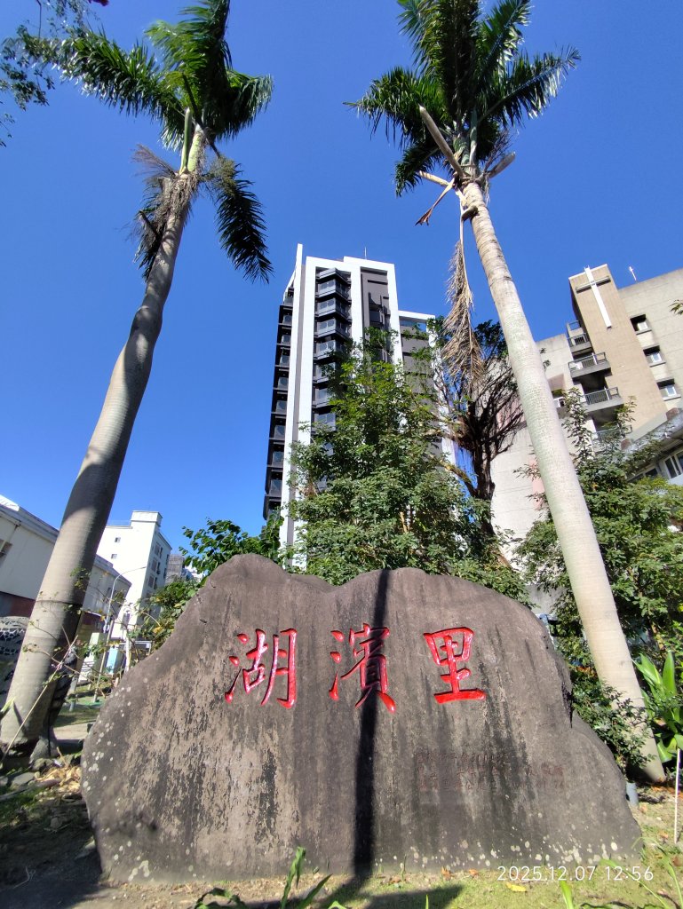 【臺北大縱走 5】碧山巖→忠勇山越嶺步道→金龍產業道路→圓明寺步道→鄭成功廟→潛園→格物台→劍潭古寺_2958962