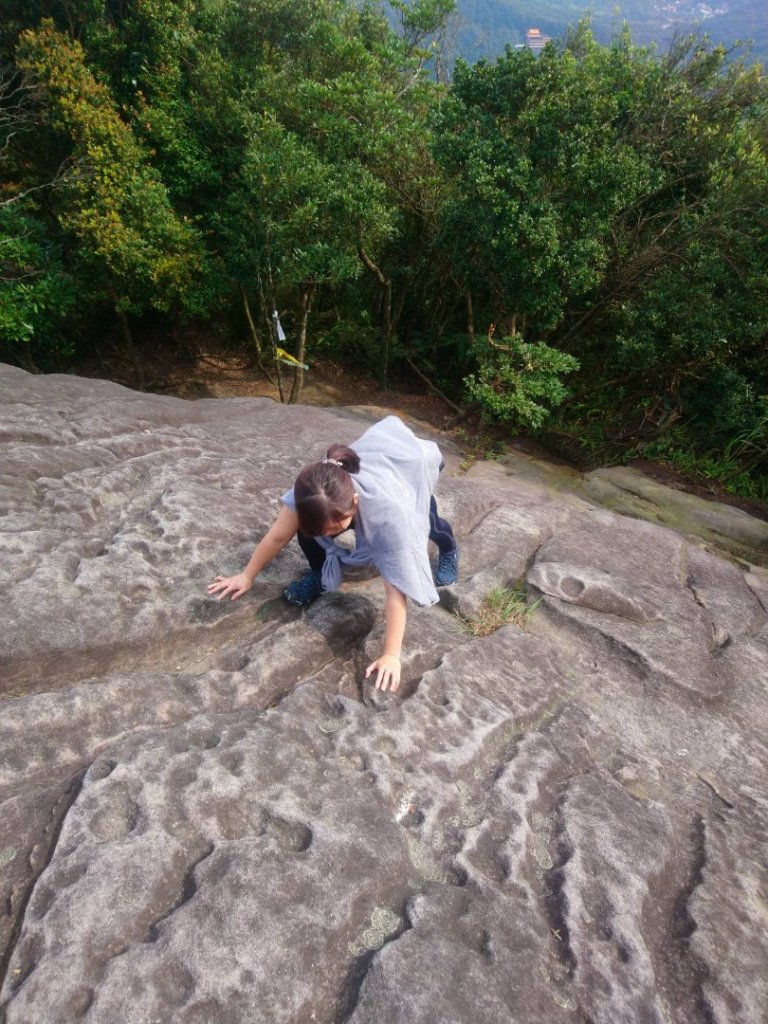 柯子林山封面圖