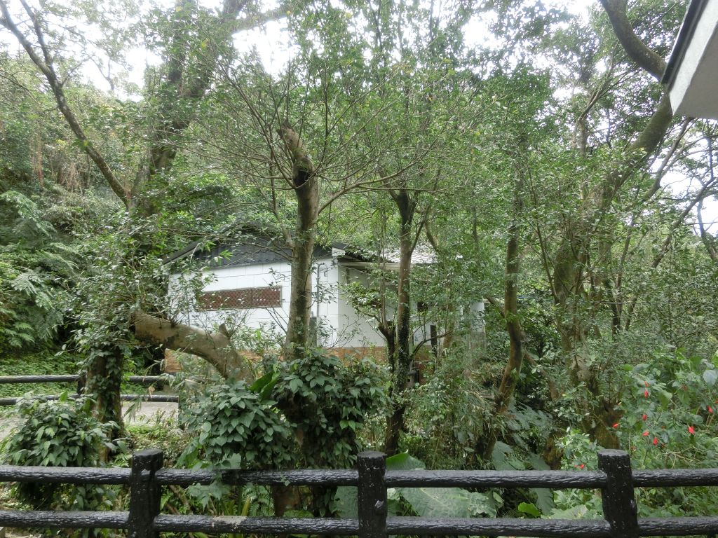 姜子寮山．泰安瀑布．鐵道公園_105827