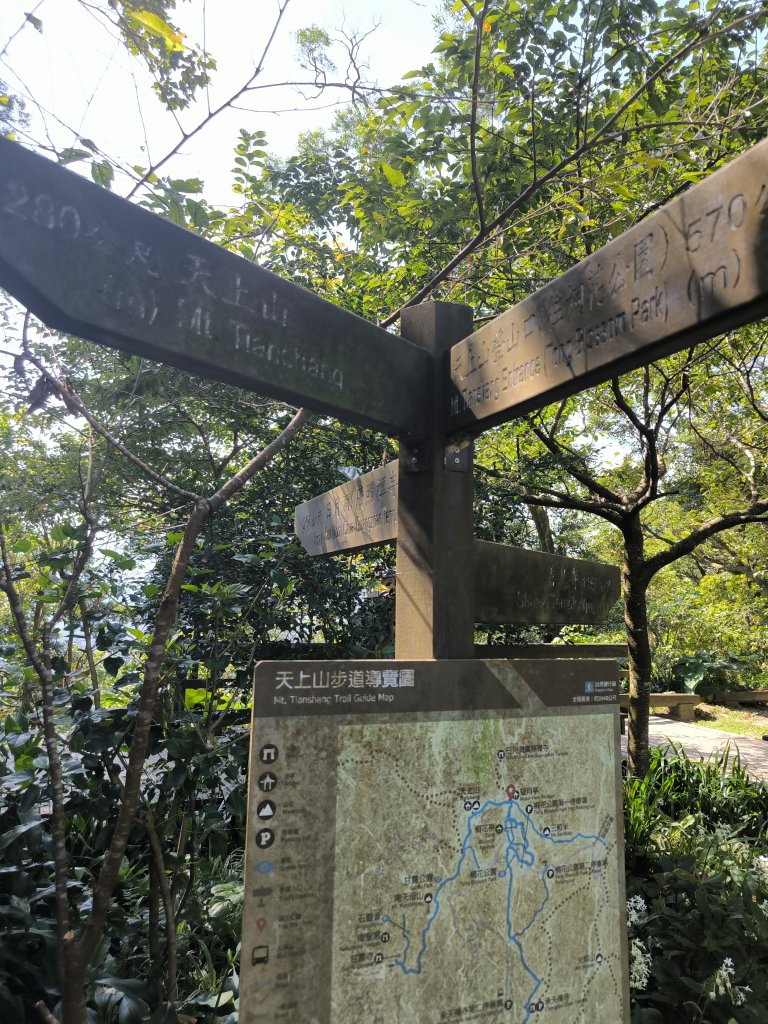 20250830天上山、旺旺嶺、太極嶺_2874095