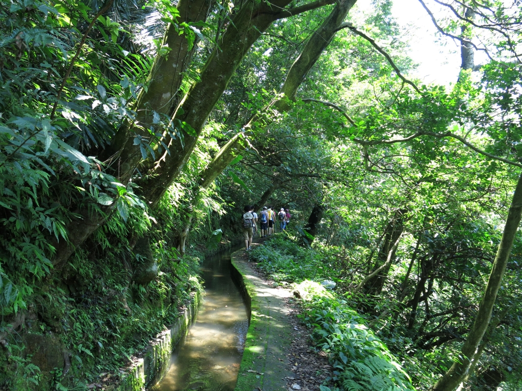 始祖鳥X健行筆記坪頂古圳半日健行活動_50823