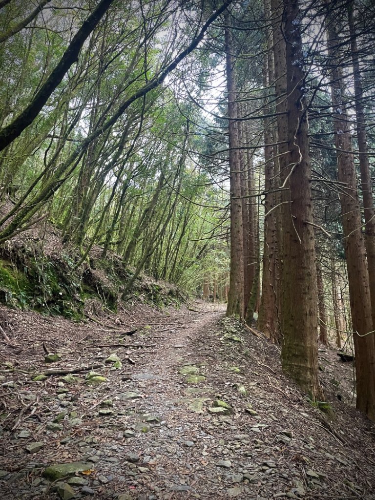 石山秀湖 2025 02/28～03/02_2729473