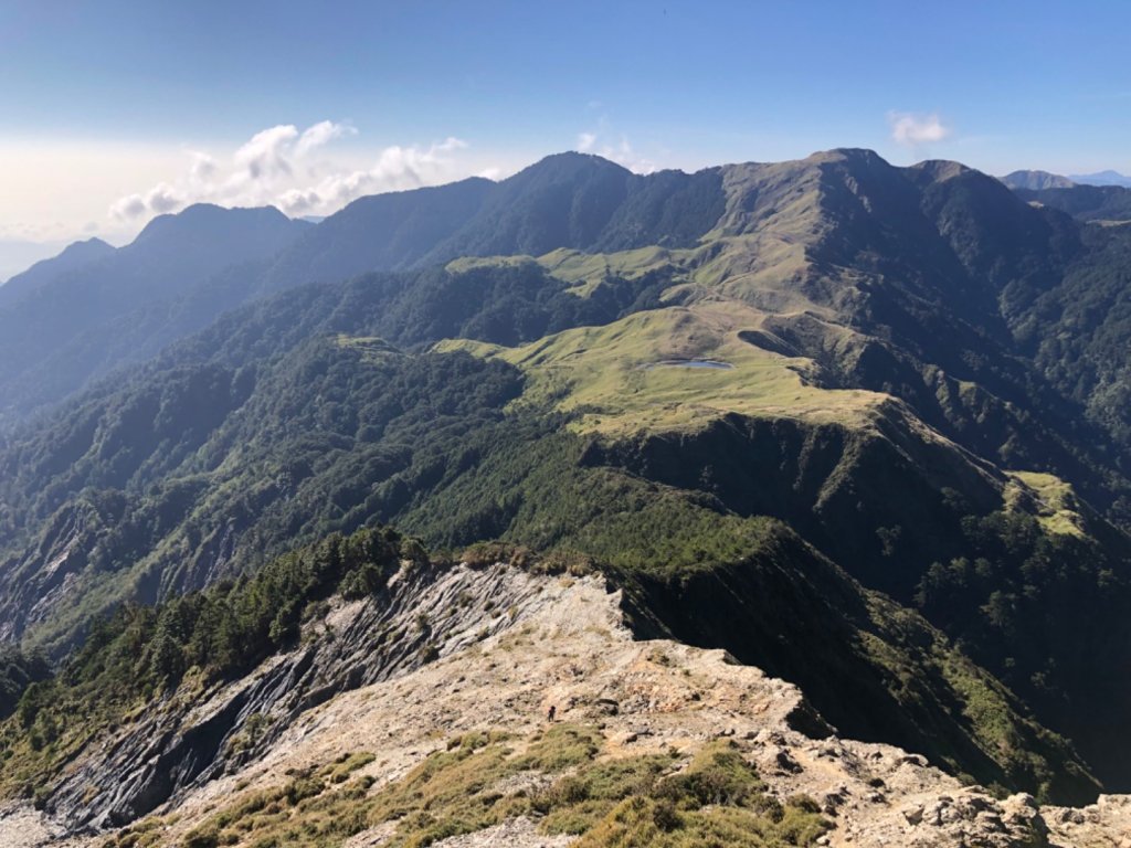水鹿天堂-能高安東軍蹤走_739861
